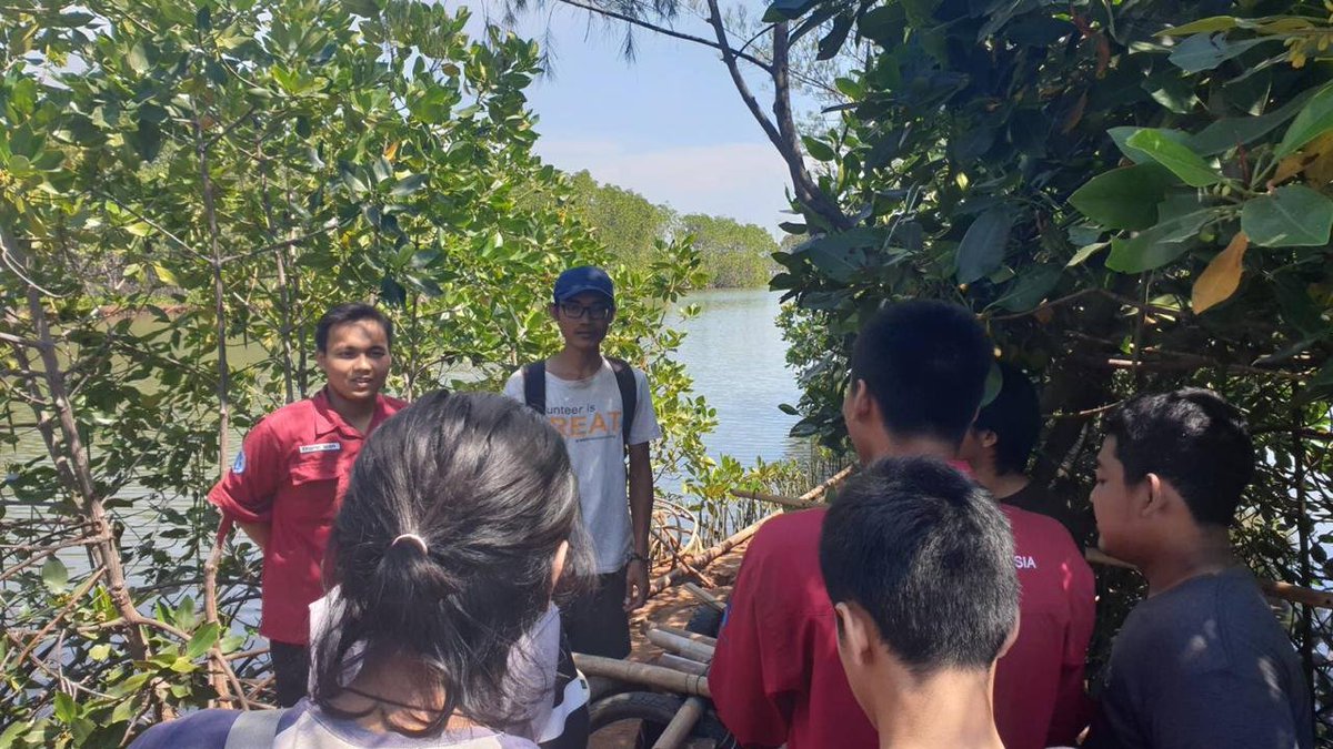 great_ngo's tweet photo. @ccivs_volunteer @UNFCCC @UNEnvironment @UNEnvironmentAP @SEAYEN_UNEP @scivol @sciint @ivs4climate @alliance_europe @LindungiHutan #Thread 4
IMPORTANT! Get to know deeper about #mangrove on site before seedling and planting
#volunesia #IVS4ClimateJustice #EarthOvershootDay #GREATofPekalongan #sayapilihbumi #lindungihutan #Pekalongan #StopClimateChange #ClimateChange #MangroveForJava #volunteerinIndonesia https://t.co/9qkvX896fs