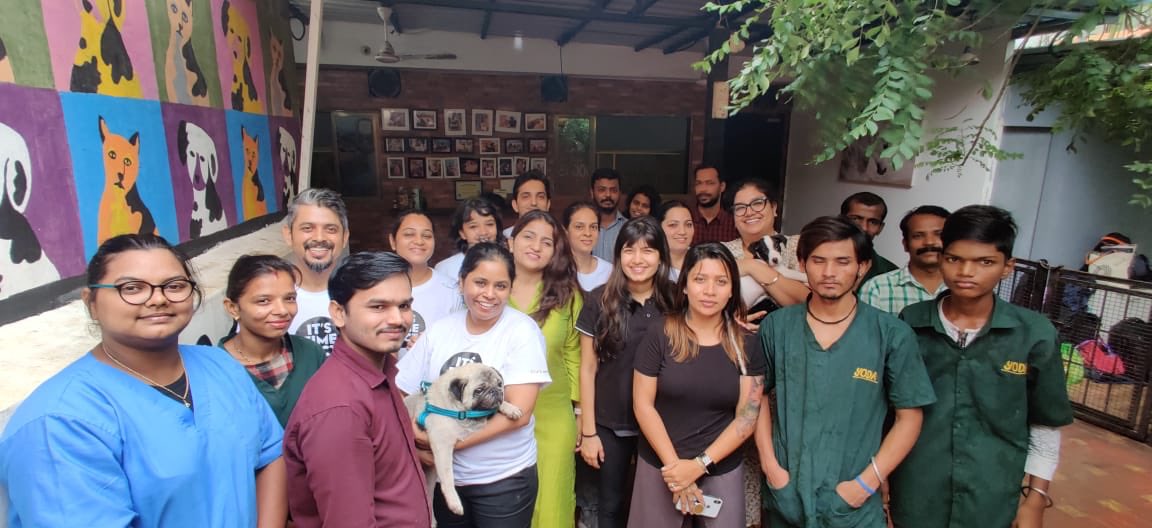 viacom18's tweet photo. It was a pawfect end to day 3 of #ViacommunityWeek for Team #Viacom18. Show some love and support to @Yodamumbai2 and be that #OneLessBozo https://t.co/vApcp3e5kS