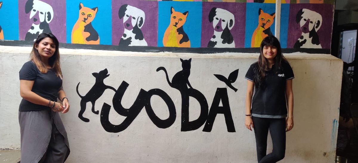 viacom18's tweet photo. It was a pawfect end to day 3 of #ViacommunityWeek for Team #Viacom18. Show some love and support to @Yodamumbai2 and be that #OneLessBozo https://t.co/vApcp3e5kS
