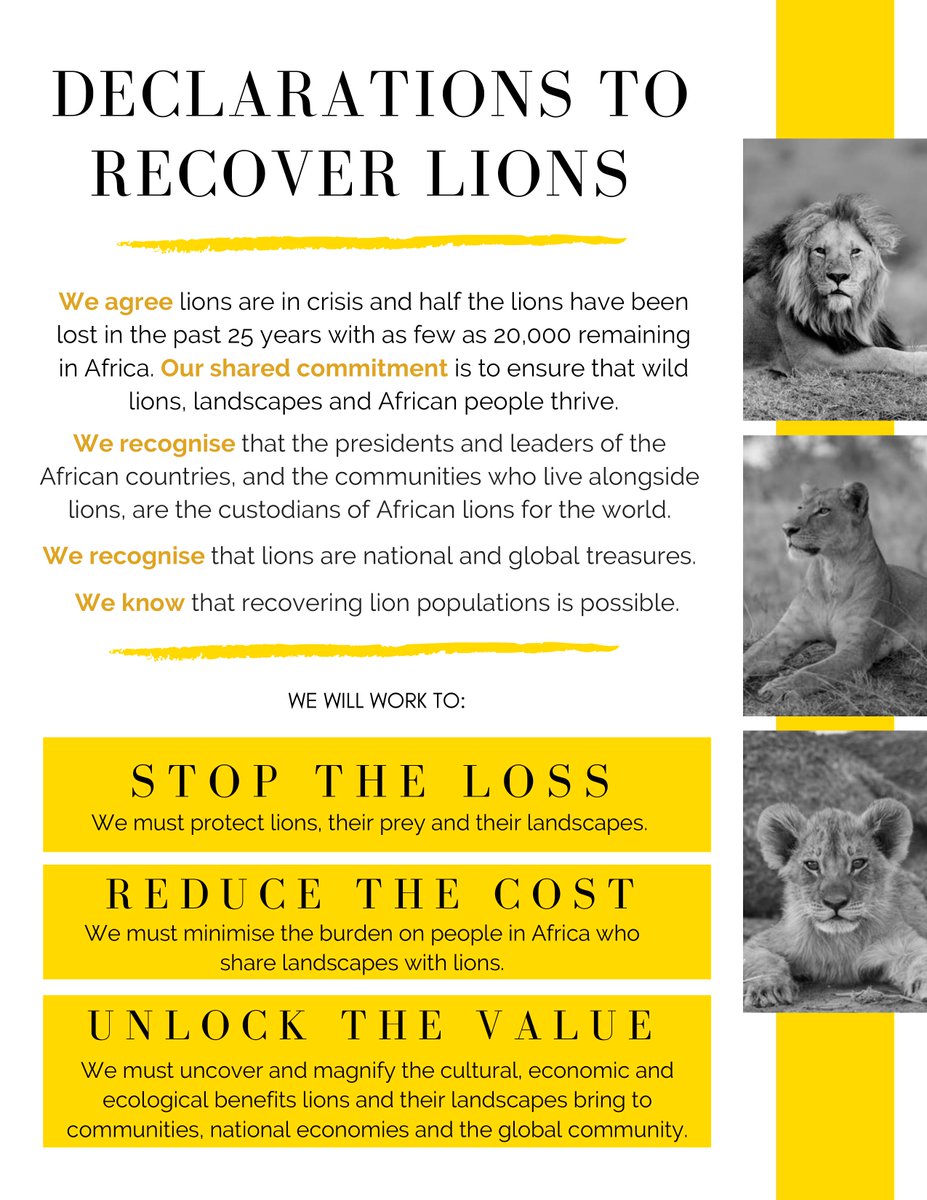 wildlifeact's tweet photo. Ahead of #WorldLionDay, we adopt the Declarations to Recover Lions, to ensure that wild lions, landscapes &amp; African people thrive. Help support these &amp; spread the word that lions are in trouble, but that there is hope: https://t.co/Gy2efavEOX

#ProtectThePride #LionRecovery https://t.co/yArWwF1csR
