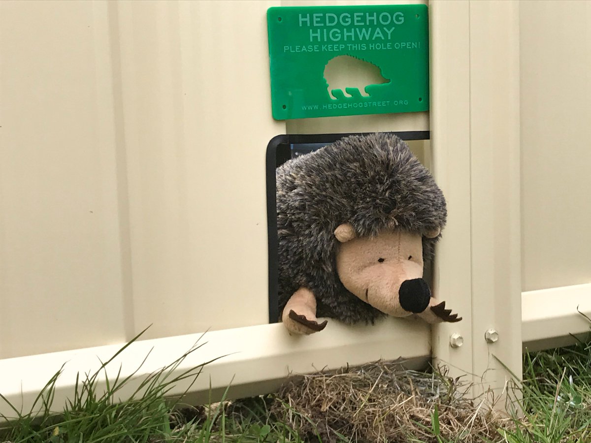 ColourfenceLtd's tweet photo. We're demonstrating how we can include #HedgehogHoles in our metal fences to allow access for hedgehogs at @Countryfilelive! 🦔

You can find us at stand number D035 which is near the main stage. 😊

#ColourFence #Hedgehogs #CountryFileLive @hedgehogsociety @CastleHowardEst https://t.co/2U3Nq7dpKZ