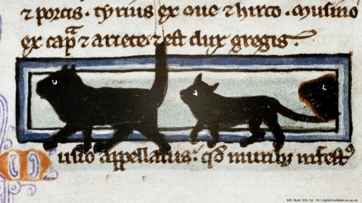 We don't know who needs to hear this but we've digitized several slide rolls of cats in medieval manuscripts. bit.ly/2yPeZ7C #InternationalCatDay