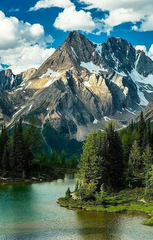 ipdiv1098's tweet image. Porque o fim da lei é Cristo, para justiça de todo aquele que crê.
Romanos 10:4.
#Biblia