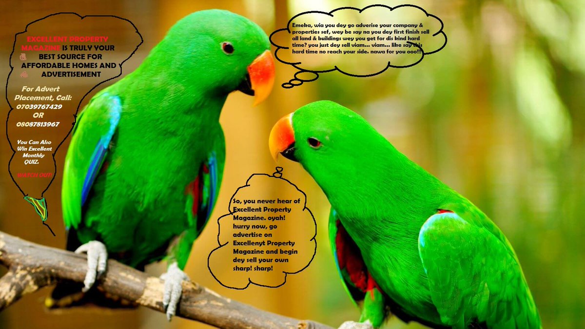 ExcellentMag's tweet image. #realtorbot advertise on Excellent Property Magazine today and have a business cutting-edge over other competitors. For advert placement pleas call: 07039767429 OR 08087813967