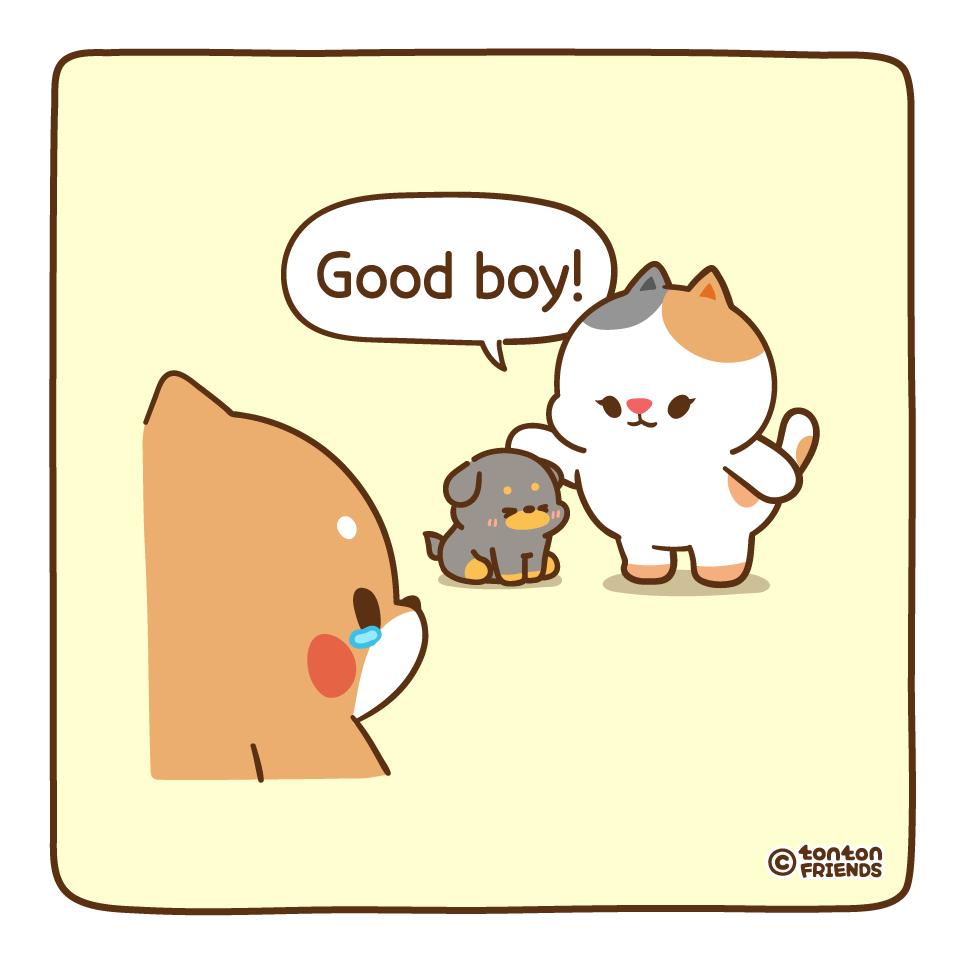tontonfriends's tweet photo. Why..? 😢

#Toto #Yuta #Bella https://t.co/lrq27QIrTu