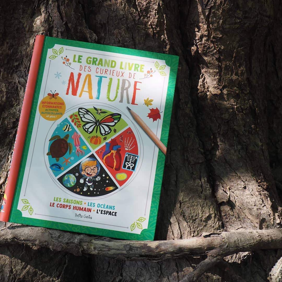 Vraiment un beau livre d'activités aux Éditions Petits Génies

mamanetcie.com/lecture/1137-l…