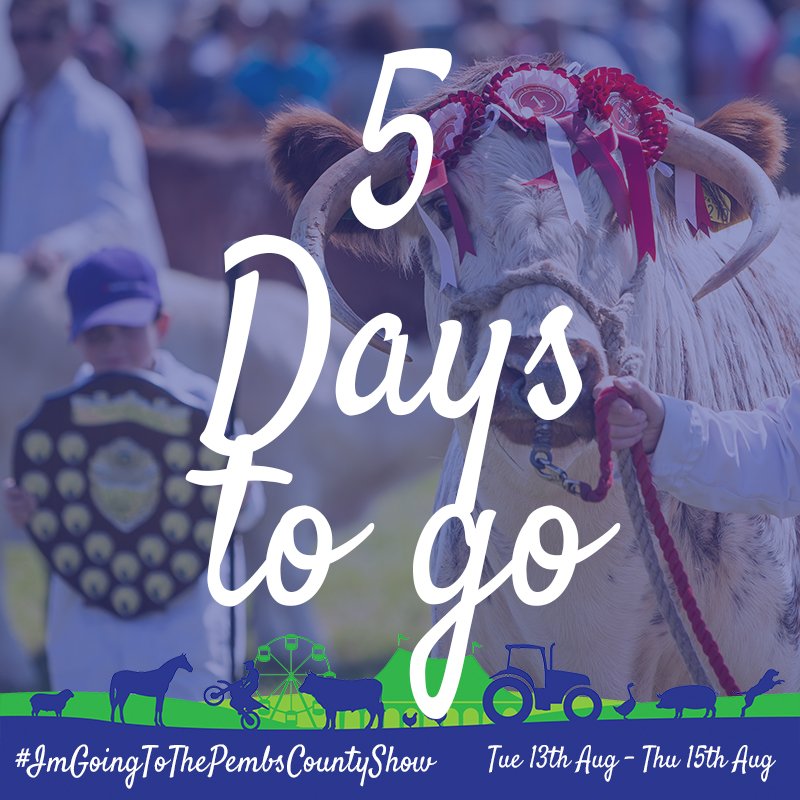 PembsCountyShow's tweet photo. 5 days to go!!!
#ImGoingToThePembsCountyShow #SeeYouAtTheShow #PembsCountyShow
Plan your visit here ➡️ https://t.co/RdhLp74RY5
Get your tickets here ➡️ https://t.co/ROfKF7qFP8 https://t.co/uPtmEE2AXq