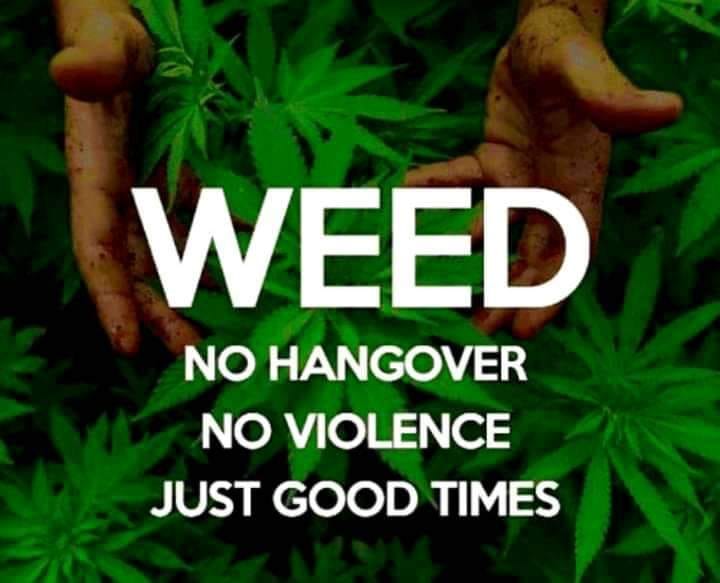 weedmemes1's tweet photo. #weed #cannabis #cannabiscommunity #weedporn #marijuana #thc #weedstagram #cbd #stoner #kush #cannabisculture #ganja #maryjane #smoke #hightimes #highlife #dank #indica #life #high #sativa #smokeweedeveryday #dabs #highsociety #medicalmarijuana #stoned #hemp #smokeweed #bud https://t.co/SHaywnbxTE