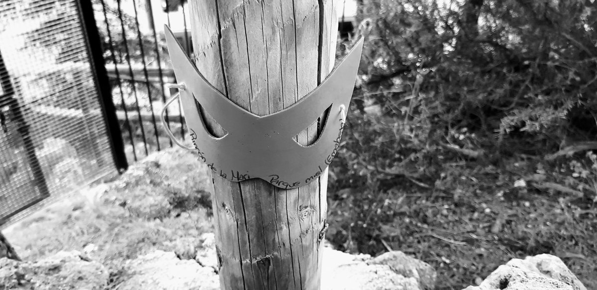 UnicornioBrujo's tweet photo. https://t.co/OKX21mxnBG
#blog #photography #blackandwhite #series #onedayonepic #picoftheday #blockchain #crypto #steem #steemit #ntopaz #spanish #cervantes #creativecoin #palnet https://t.co/OsCofuRtu9