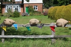 #stockfest19 Due to the forecasted poor weather tomorrow, we're postponing the start of the scarecrow trial until Saturday. Here's a reminder from lat year. #scarecrow