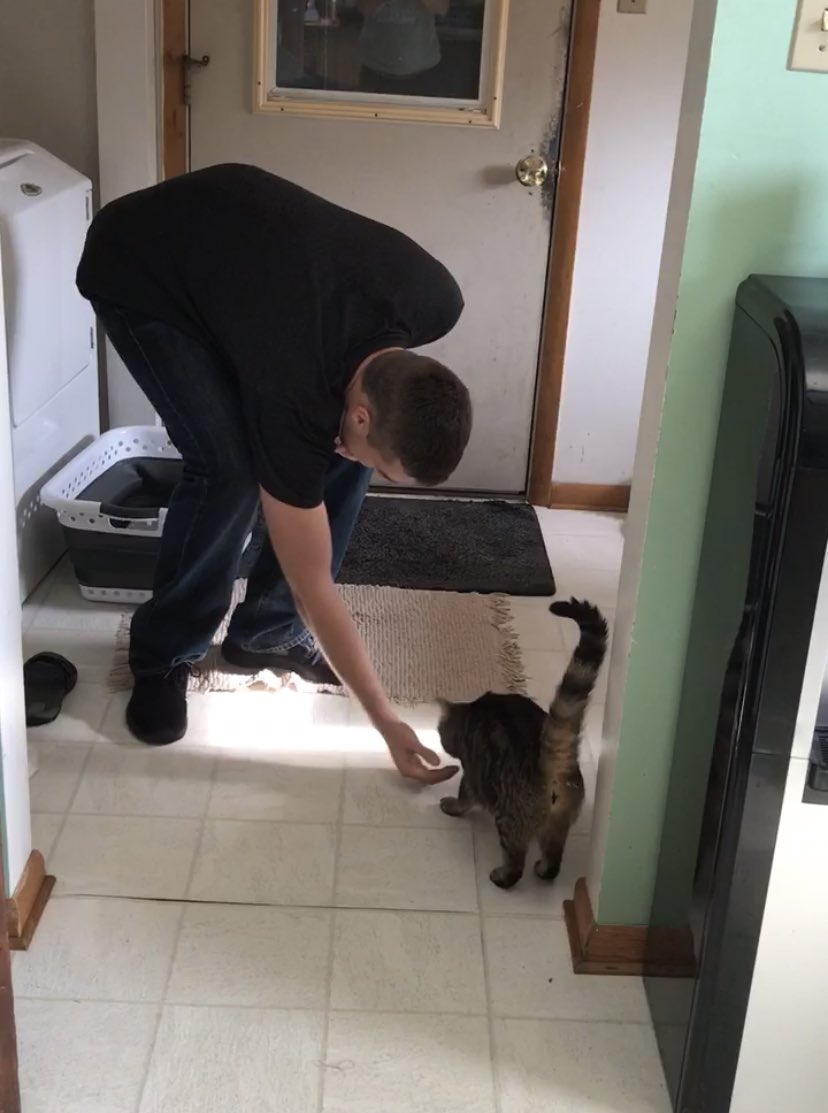 HaleyCSaylor's tweet photo. Every morning before @SethASaylor leaves for work, our cat eats a treat out of his hand. https://t.co/T2uglaMRH9