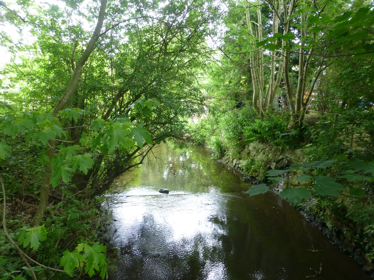 Thames_RvrsTrst's tweet image. 3 Great job opportunities with @SE_Rivers_Trust.  Applications due by 30th August: southeastriverstrust.org/staff-vacancie…
#jobs #riverstrust #projectofficer #riverrestoration #fishpassage #SuDS #NFM