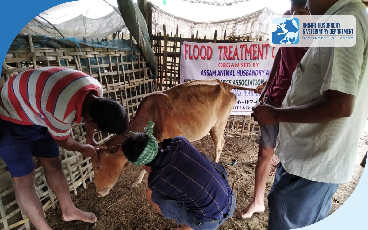 Animal Husbandry & Veterinary Dept. Assam on Twitter: Animal Husbandry & Veterinary Dept. Assam on Twitter: