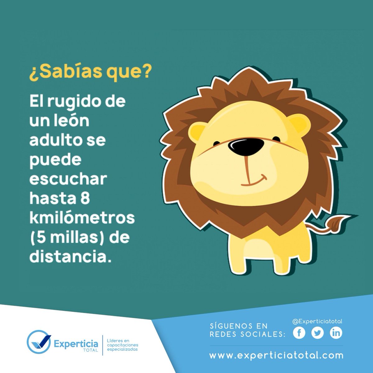 ExperticiaTotal's tweet photo. #SabiasQue
#ExperticiaTotal https://t.co/zt3nFDXgDI