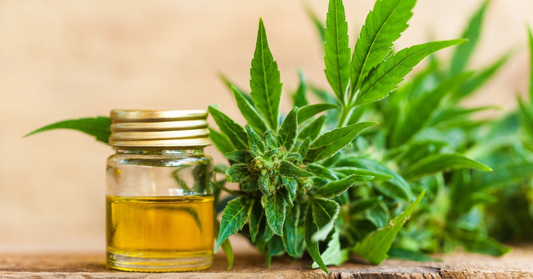 National CBD day! Ensure your CBD products are legal for market with our new analytical method, that uses High Performance Liquid Chromatography to screen and quantify cannabinoids: ow.ly/OUbZ50txkG8
#NationalCBDDay #science