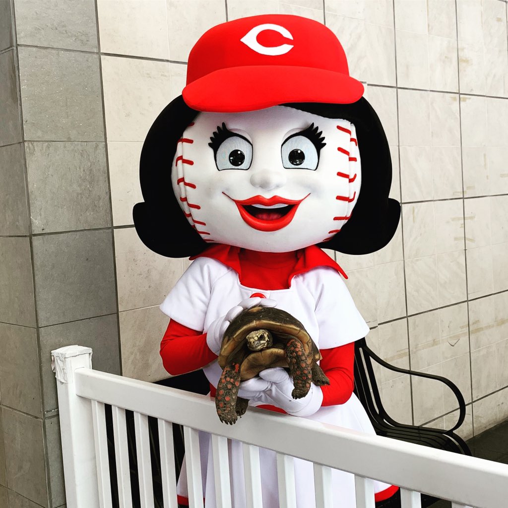 ZooProOH's tweet photo. We had a lot of fun today with the animals at Northgate Mall, especially when Rosie Red came to visit! @CincinnatiReds https://t.co/Ch6O9Ay8MT