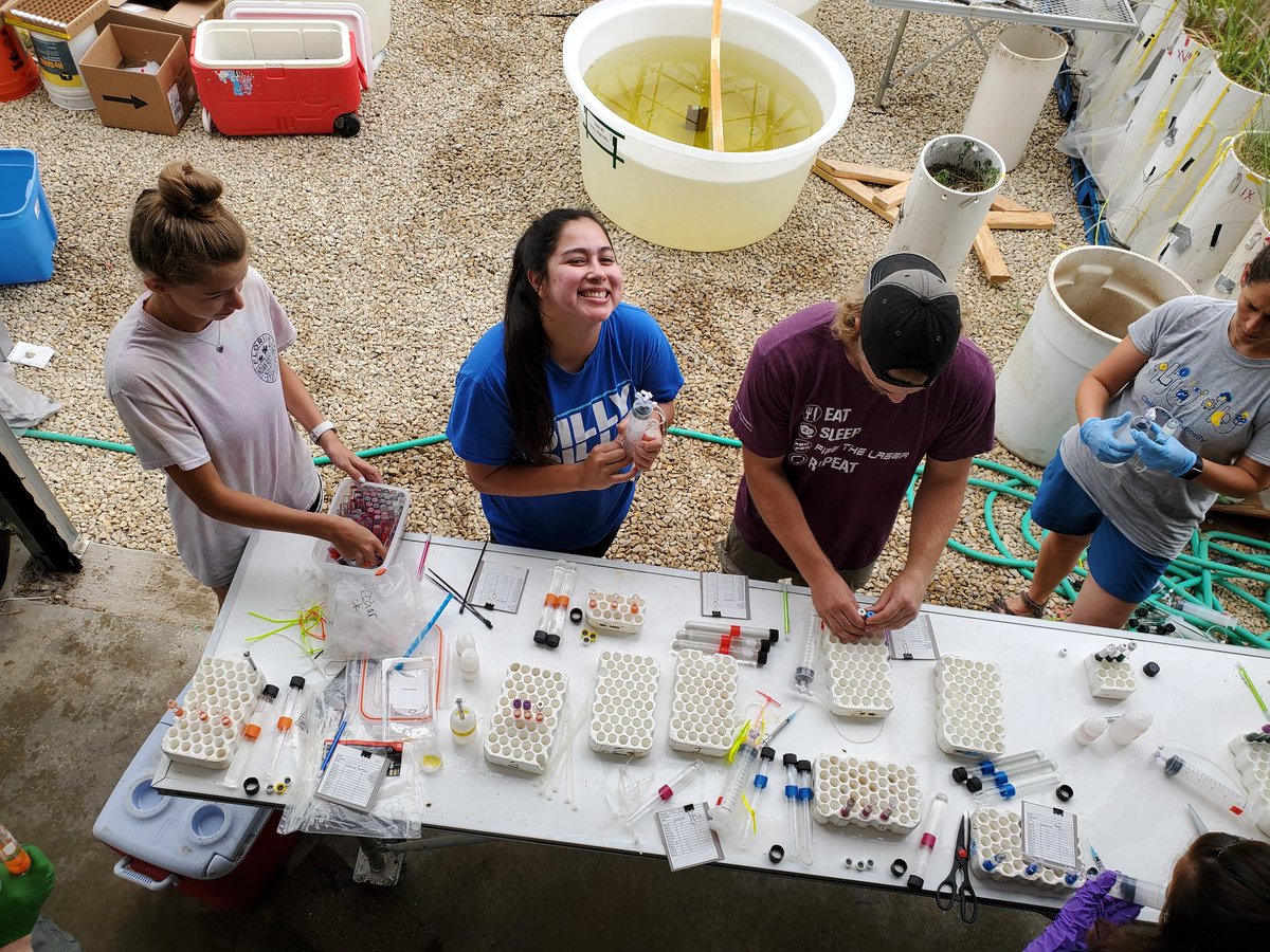 HanschuJanaye's tweet photo. MIMS-part 2. Looking at denitrification and N-fixation. MIMS sampling requires a lot of hands. Also, we do the regular-every day sampling &amp; lab analysis. Thank you to the #BurginLab, once again, for all the help! @A_Bagel_Pruitt also pulled her sed traps! #MAPS2019 @KansasEPSCoR https://t.co/oysKepZqDq