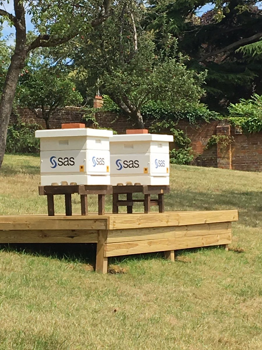 caltew's tweet image. We have bees in our orchard. They moved in today. #sasprofs #saseducation #training #education