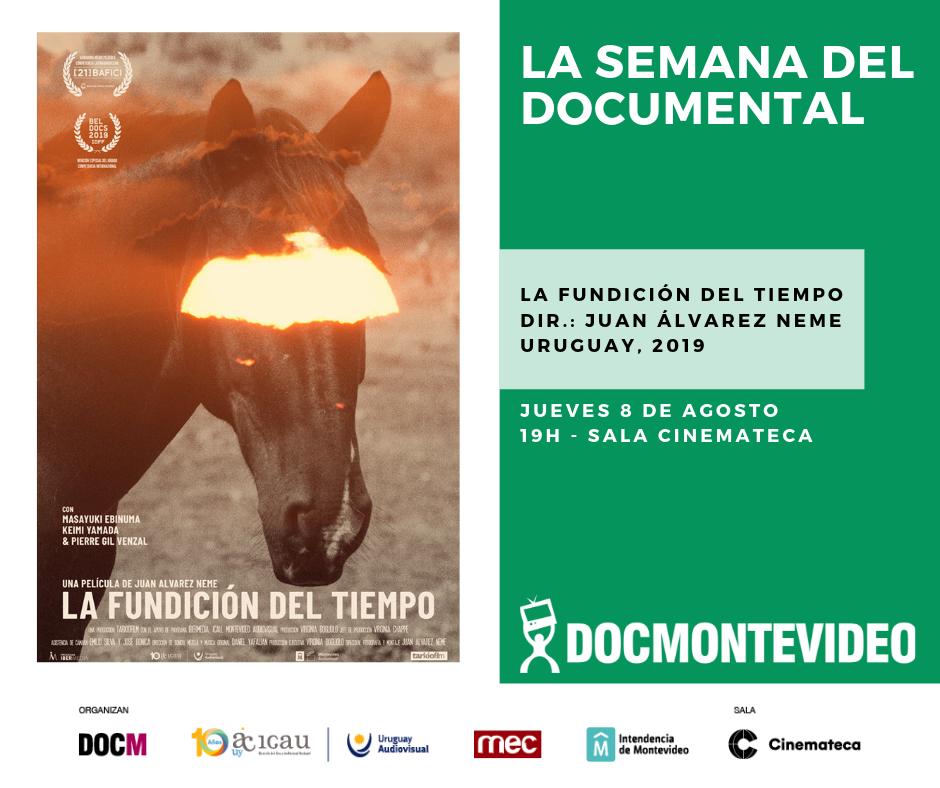 DocMontevideo tweet media
