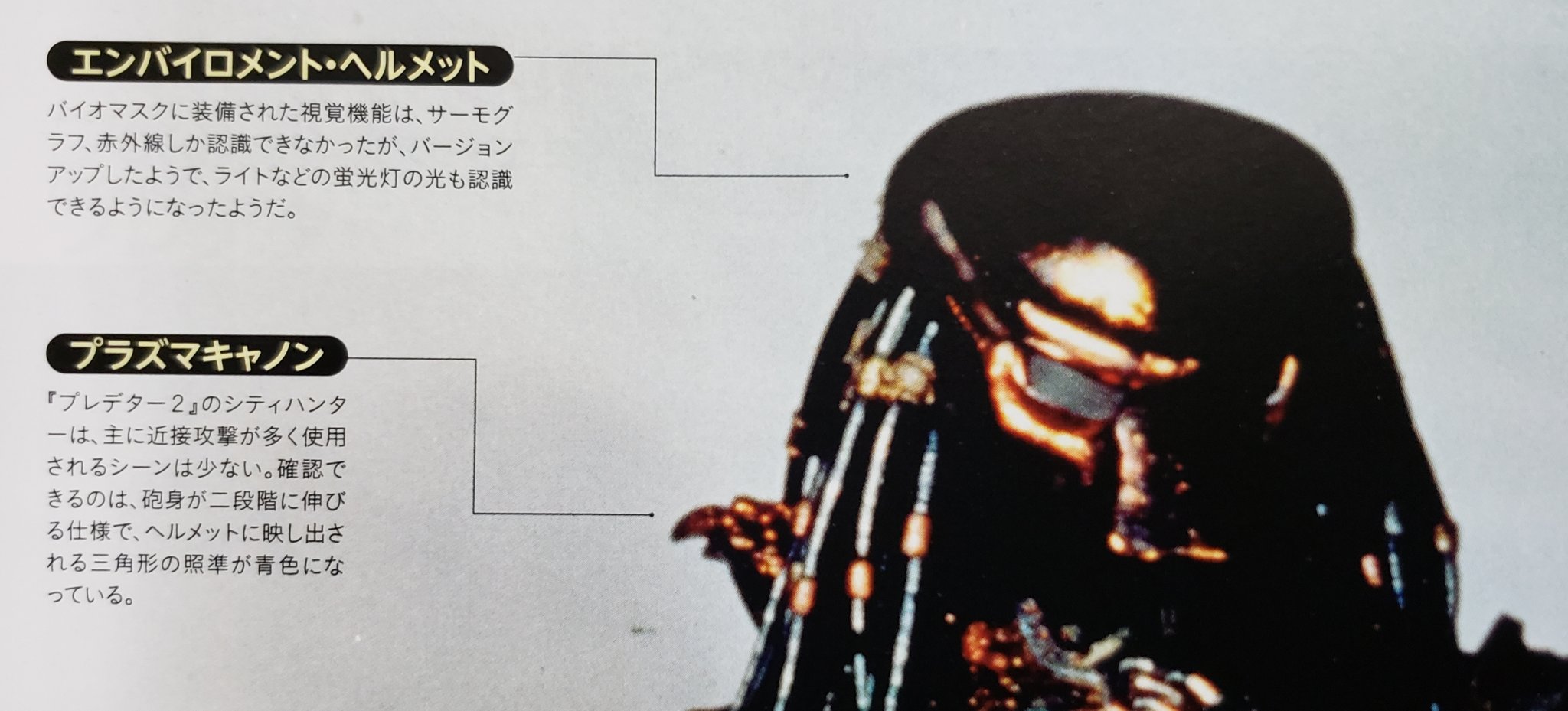 ひろ☆くま on X: 