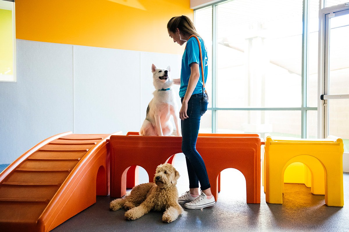KateWinsletGHF's tweet photo. Fastest-Growing Pet Franchise Launches National Initiative to Hire Adults with Autism https://t.co/SPn1rIhwLj @dogtopia #autism #asd https://t.co/atJq2viPpo