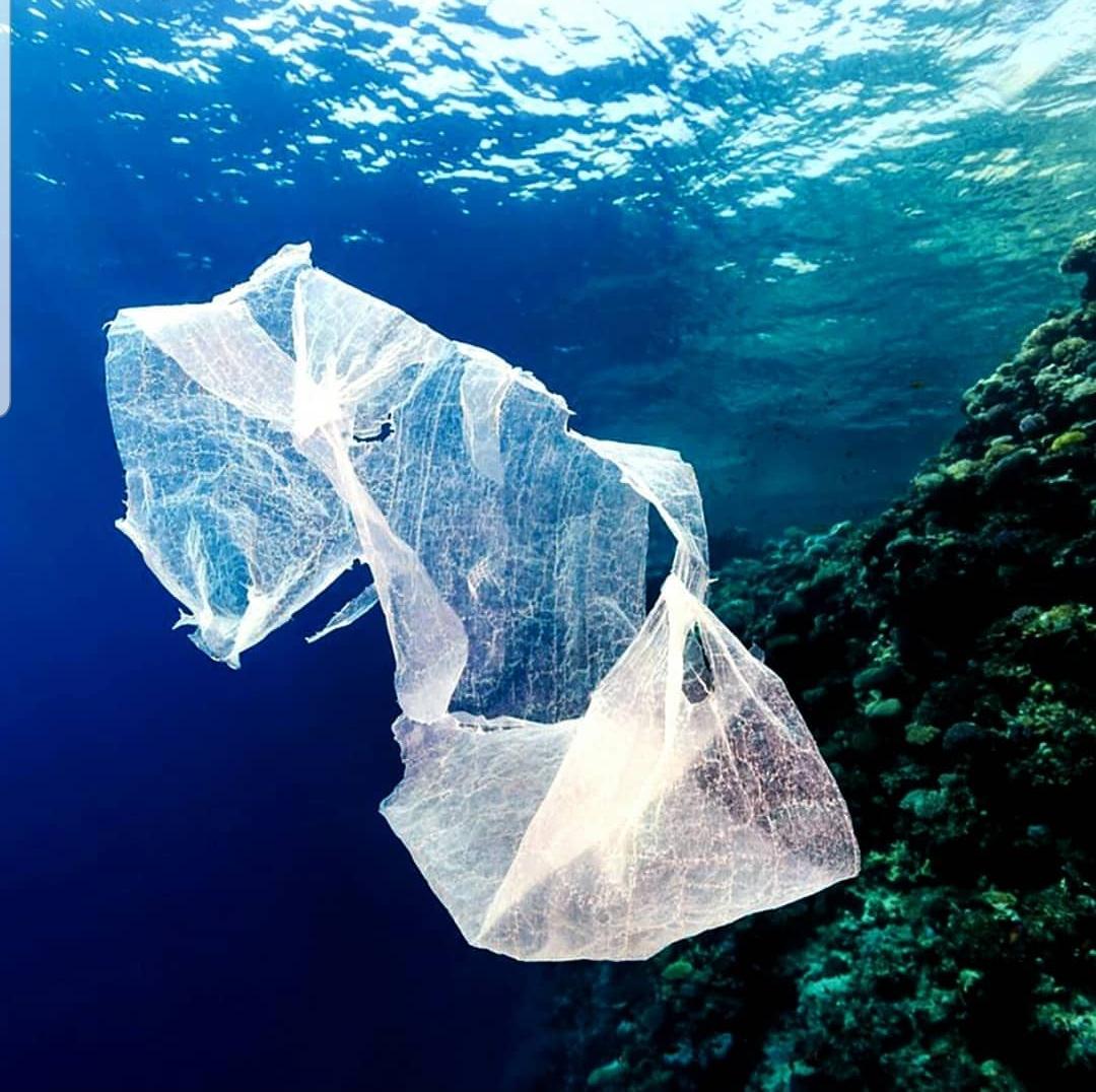 Nora1703's tweet photo. The ocean is calling & we must go ๐๐๐ #muritius
#4ocean we are responding to enjoy the beauty & support @4oceanBracelets @lonelywhale
#HydrateLike #BanSingleUsePlastics #CleanOceans #TravelLikeYouCare https://t.co/lH2cEyemM9