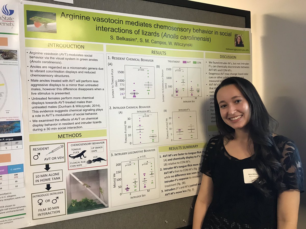 neuroStephtide's tweet photo. Congrats #Wilczynski lab undergrad researcher, Selma, for a great first poster presentation! @GSUBnB @GSU_Research #WomenInSTEM #lizard #vasopressin #vasotocin #chemicalsignals #anoles https://t.co/E4AJIYopEI