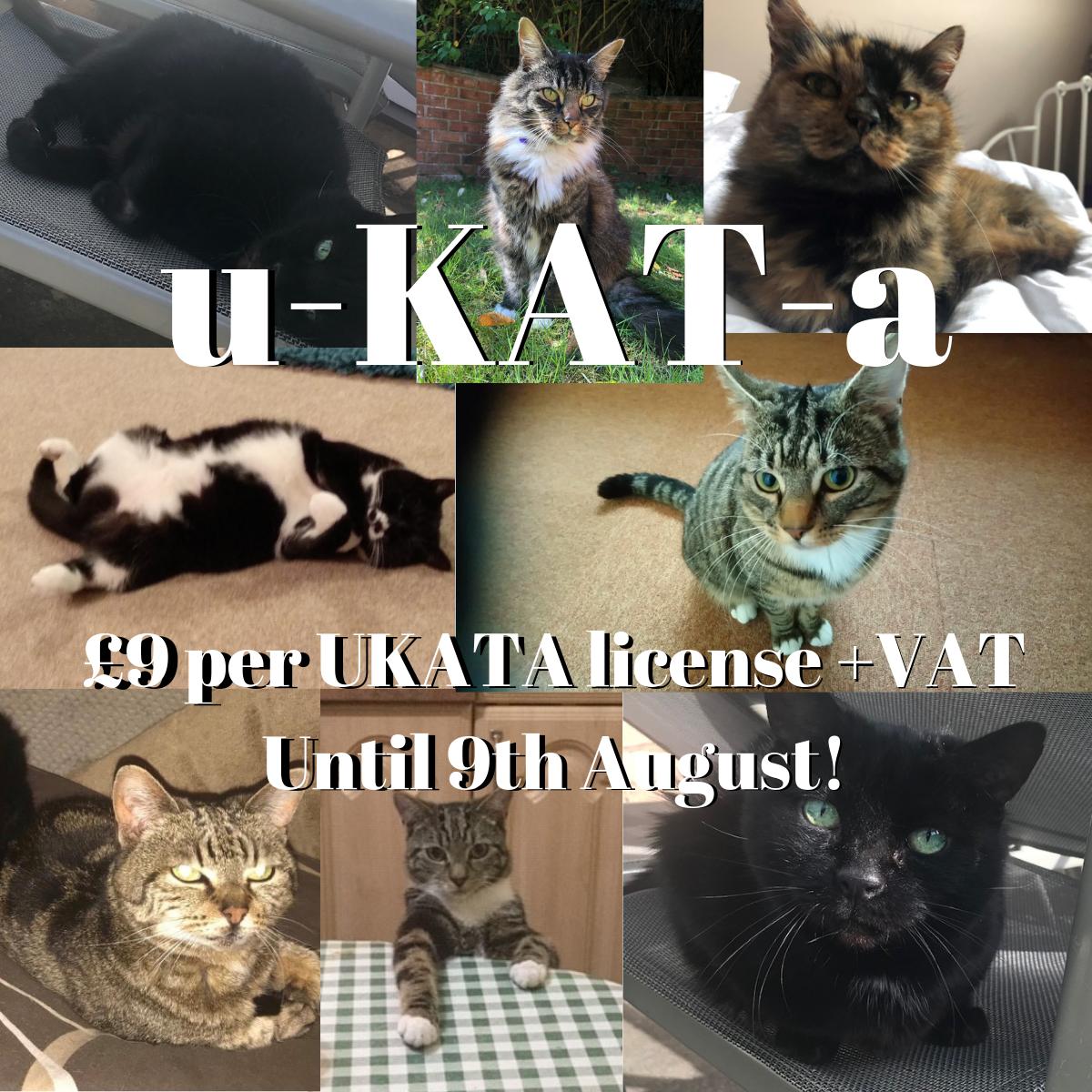 To celebrate #InternationalCatDay we are offering UKATA Asbestos Awareness Licenses at £9! Check out our collage of the office's lovely cats! 🐱🐱🐱

#Ukata #Elearning #training