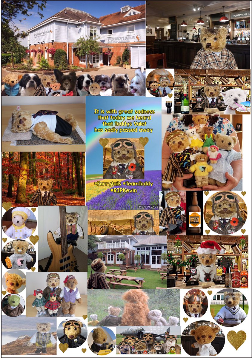 Pleas join #TeamToddy today at  #furrytails to raise a glass to Toddy &amp; Valet - 8pm UK, 2pm CT, 3pm ET, 12 noon PT - to celebrate a wonderfull Hoo &amp; his Bears <a href="/ToddyFur/">Toddy Furrington</a> <a href="/PruFur/">Pru Dinker</a> <a href="/GingFur/">Ginger Furrington</a> <a href="/CammyFur/">Carmichael Furrington</a> <a href="/MungoFuzzy/">Mungo Fuzzy</a> <a href="/GingFur/">Ginger Furrington</a> <a href="/RonjaFur/">Ronja Furrington</a> ❤️💙 #ZSHQ #TheAviators #theruffriderz #PalsPorch