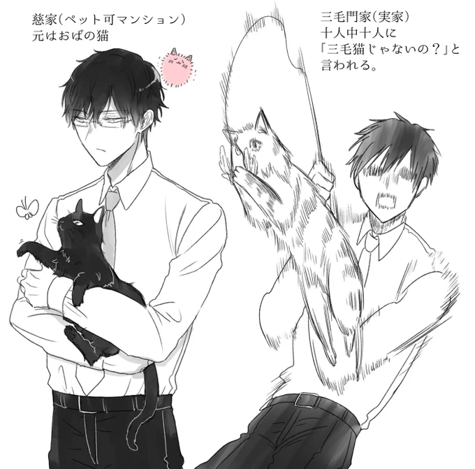 漫画内の猫飼いはこんな感じです。 