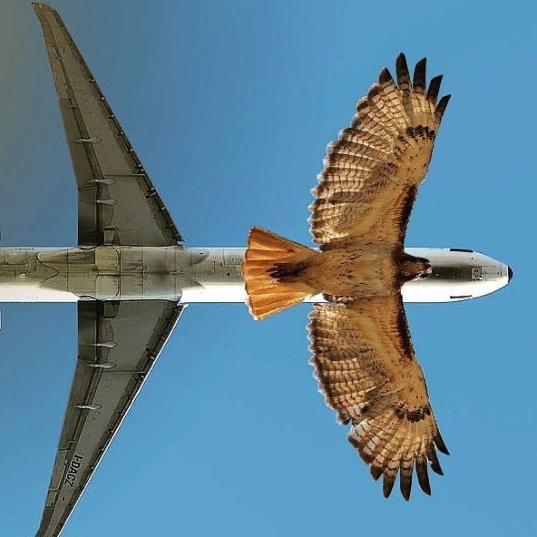 DARTAEROSPACE's tweet photo. Did you know that DART Aerospace also provides safety equipment for the fixed-wing industry? ✈️ 
Come and meet Chris Albrecht, our Director of Sales fixed-wing, at the ACPC Conference - Booth #293 on Aug. 10-13 in Washington, DC

📸 Picture from @aircraftmaintenancengineer (IG) https://t.co/FhnxRQNWz3
