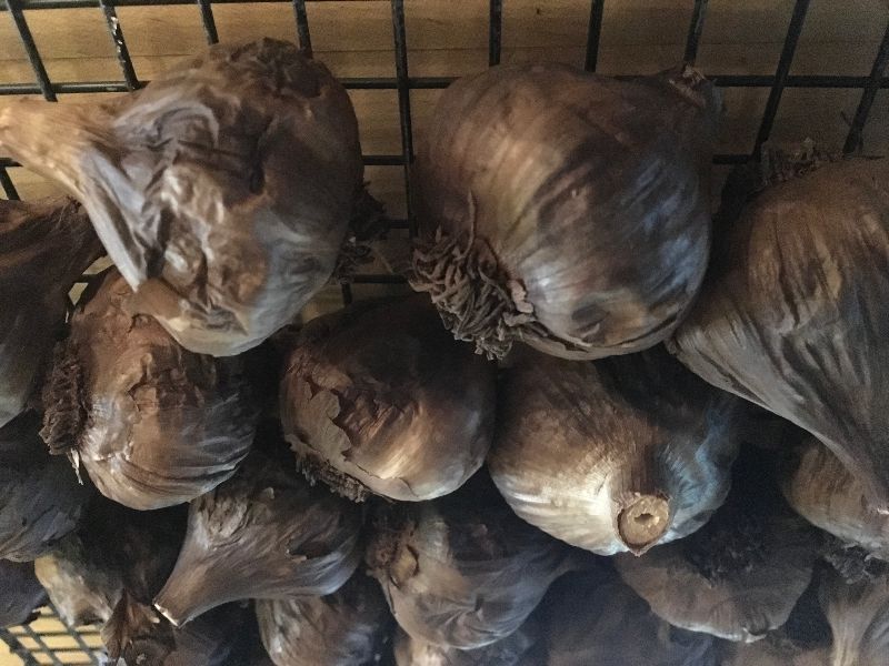 TrexlerFarmMkt's tweet photo. Beautiful Saturday Ahead! - https://t.co/VOKonicyiW https://t.co/ZTcQLeF5ht