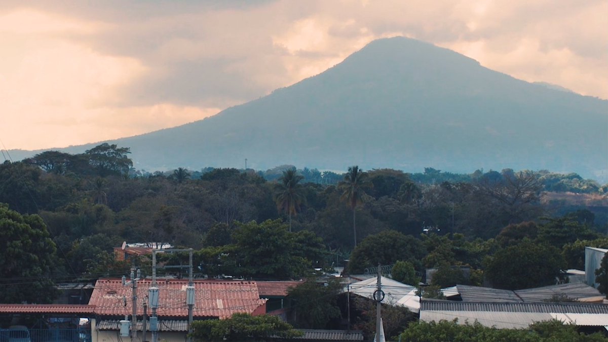 Element Studio tweet media