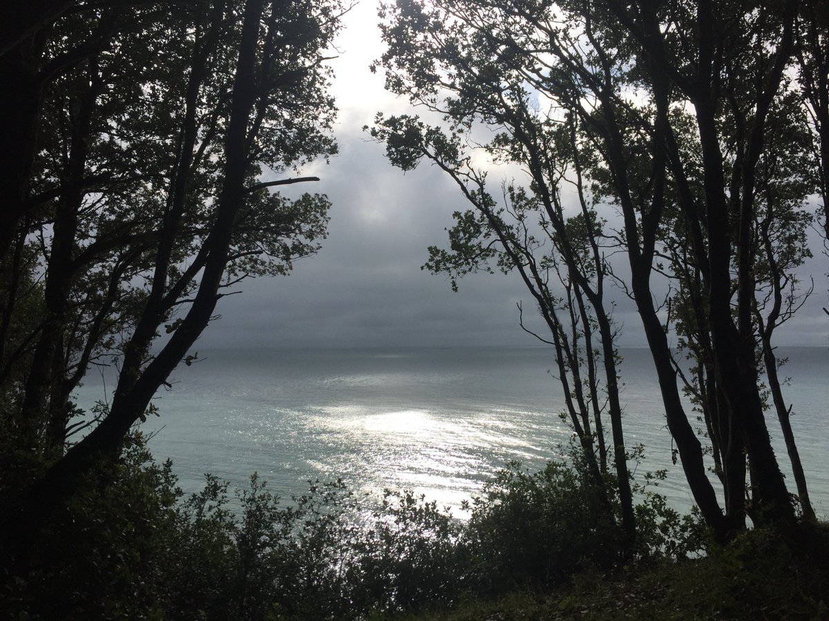 JulianDSawyer's tweet photo. Whatever the weather, however much time I have, I just can't get enough of this place #purbeckfootprints @goDorset @TravelDorset  @BBCEarth @BBCSouthNews #purbeck #dorset #openforsummer https://t.co/zyD9pEe9yY