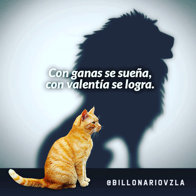 Feliz Jueves,   siguenos para mas contenido asi bit.ly/31w5xmh. #DiaInternacionalDelGato