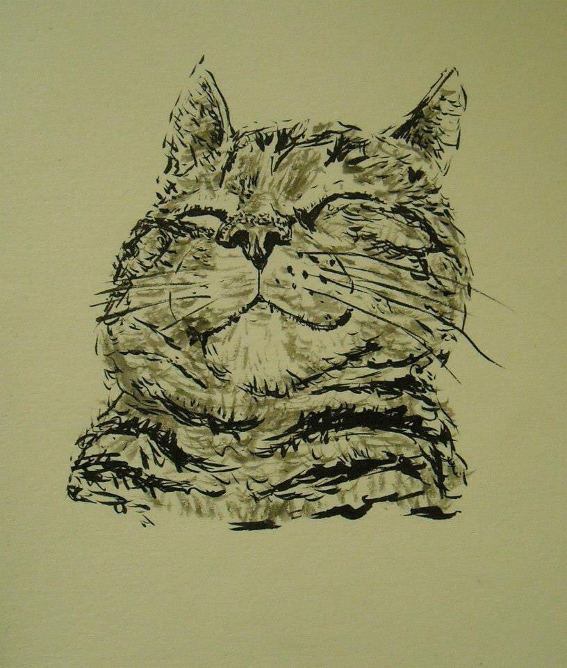 Marcus_As1's tweet photo. Hendrix 2 - #pentel brush pen - on paper #InternationalCatDay #CatsOfTwitter #cats @PentelUK #JimiHendrix #penandink #drawingaugust https://t.co/OF3PJOWTr8