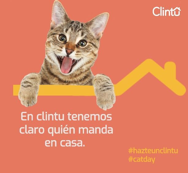 Hoy más que nunca tenemos claro quien es el rey de la casa. Y recuerda, NO compres, #AdoptaFelicidad. ¡Feliz #DíaInternacionalDelGato! #DiaDelGato #hazteunclintu