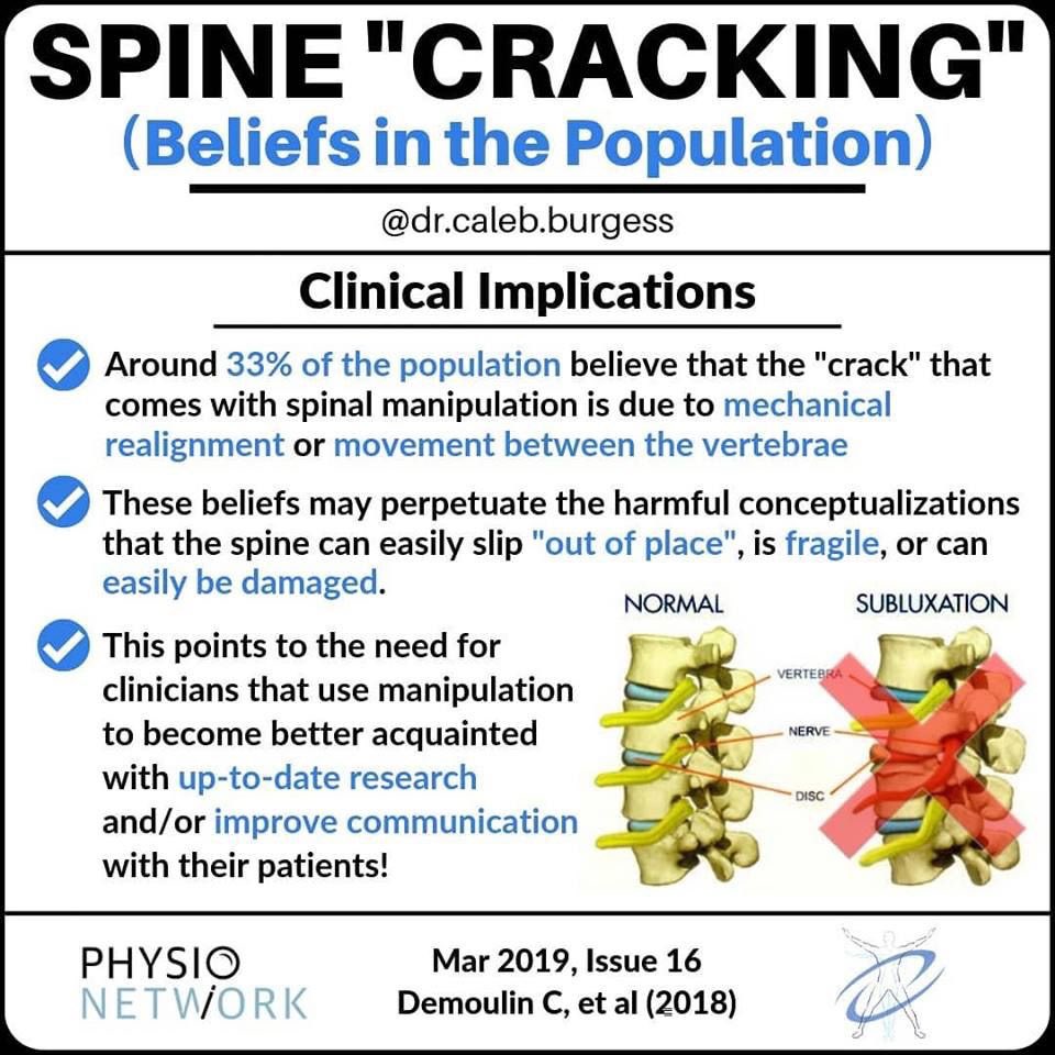PhysioNetwork's tweet photo. 💥Spine "Cracking"💥📚 These graphics highlight a study on "Beliefs in the Population about Cracking Sounds Produced During Spinal Manipulation". Stay up to date with the latest research 👉🏻 https://t.co/rEqOOdiqvK 📸 by Caleb Burgess 👌🏻 https://t.co/OM9FVXxaNA
