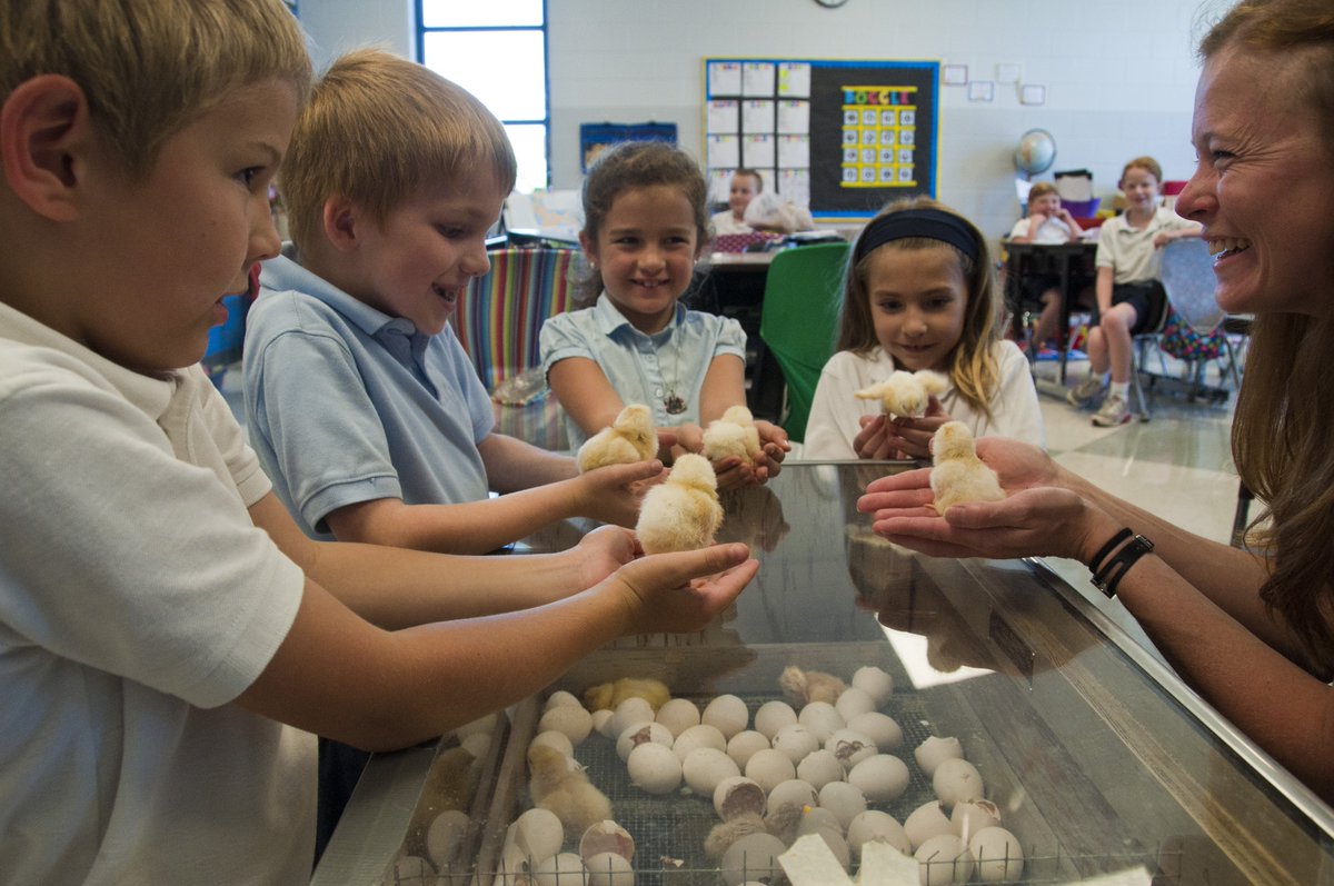 Alltech's tweet image. Alltech strongly believes in kindling a love of learning and discovery in the minds of the next  generation. Since 2007, we have constructed more than a dozen state-of-the-art science laboratories in primary schools around the world! #InternationalYouthDay