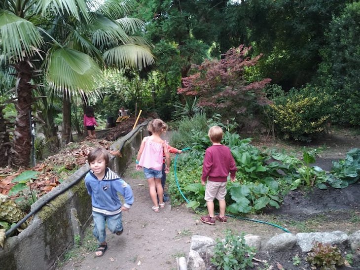 ¡Seguimos disfrutando en la 5ª semana de campamento de la Fundación <a href="/SalesXardin/">Fundación Sales Vigo</a>!
bit.ly/2Tf4V1c