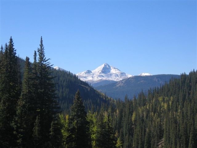 FSEEE's tweet photo. The National Environmental Policy Act gives the public a seat at the table when the Forest Service makes decisions on managing public lands. The Trump Administration wants to get rid of that seat.

https://t.co/DS6UEyyqQg https://t.co/RKrk2rebSQ