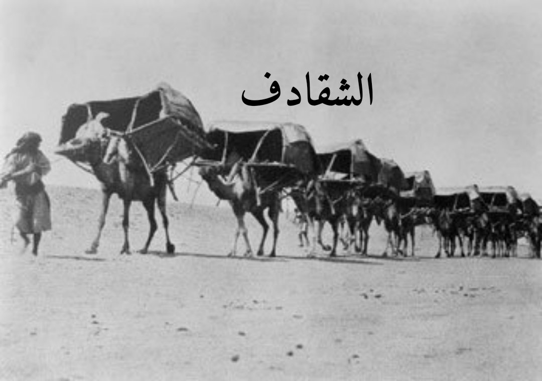 drhnoory's tweet photo. شُقدُف ( اسم ):
الجمع : شقادِف
الشُّقْدُفُ : مَرَّكَبٌ أكبرُ من الهَوْدَجِ ، يستعمله العَرَبُ ، وكان يَرْكَبُه الحُجَّاج إلى بيت الله الحرام والمشاعر المقدسة.
( معجم المعاني الجامع) 
ويتكون الشقدف من السرج الخشبي المحشو سعف النخل.
#الحج_قديماً
#تاريخ_مكة
#حسين_النوري https://t.co/7ejQ36U2gH