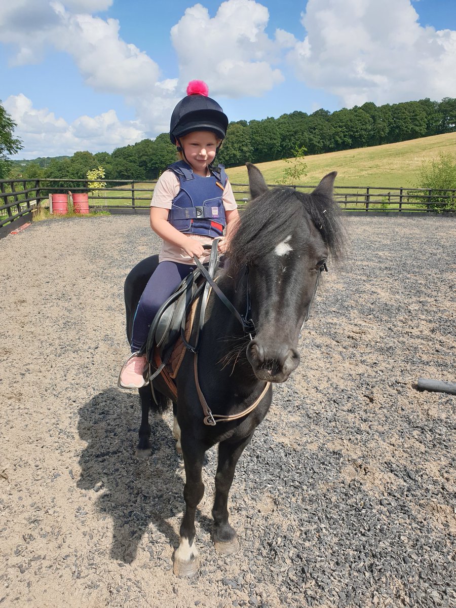 Today has been a busy one welcoming a new addition to the family 😍 The summer holidays are still chaos &amp; even though there isnt a huge amount of equine photography happening there is still plenty of equine action. #WorcestershireHour #equinehour #eventinghour #MalvernHillsHour
