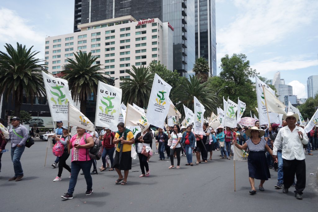 UCIN_Medios's tweet photo. #UCIN en Marcha Nacional #Campesina #ElCampoesdeTodos #CDMX https://t.co/CcDMSLxBxq