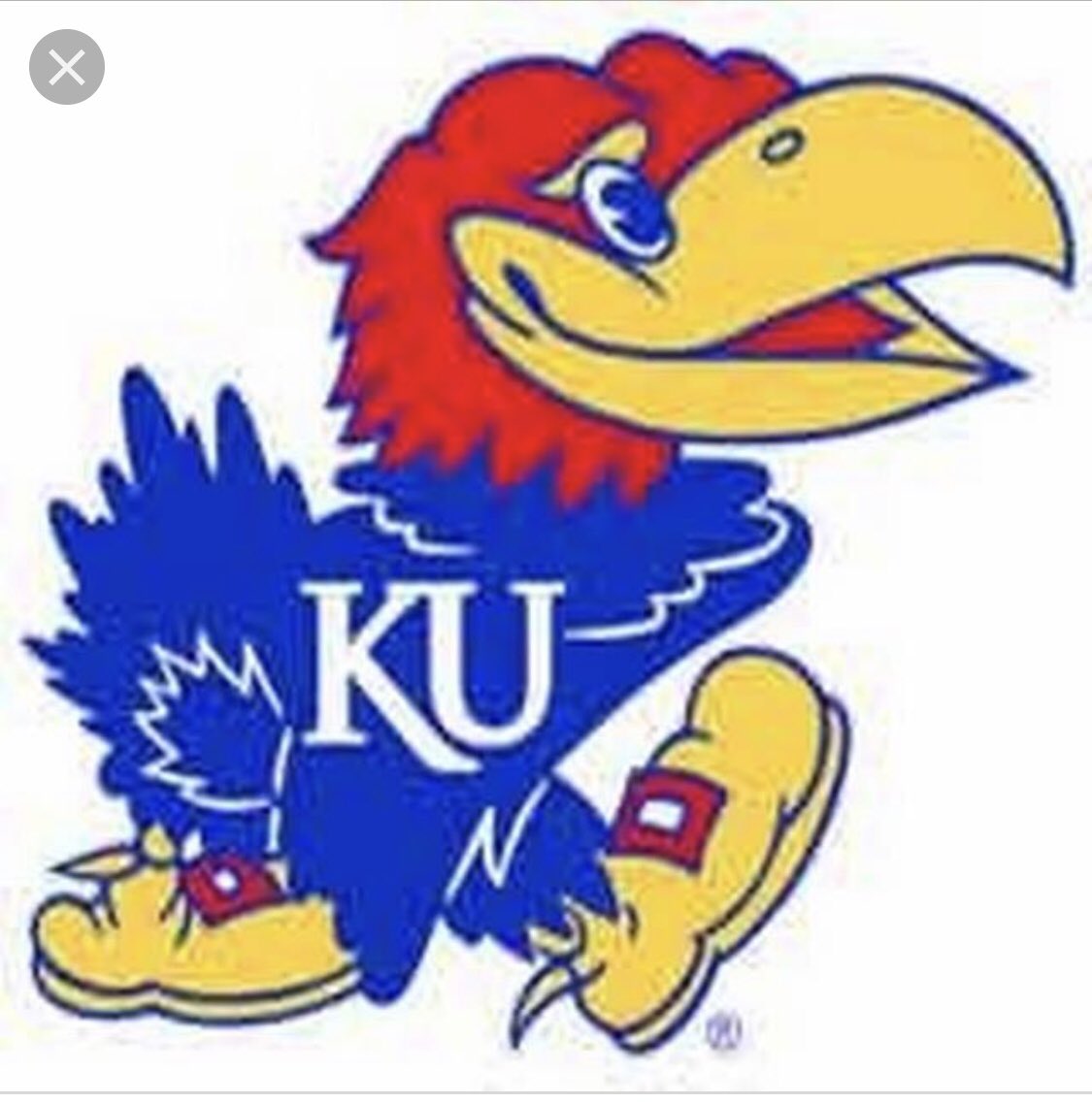 CarsonCollins22's tweet photo. Blessed and thankful to announce my commitment to the University of Kansas to further my academic and baseball career. #RockChalk https://t.co/Hx0kFEOrN3