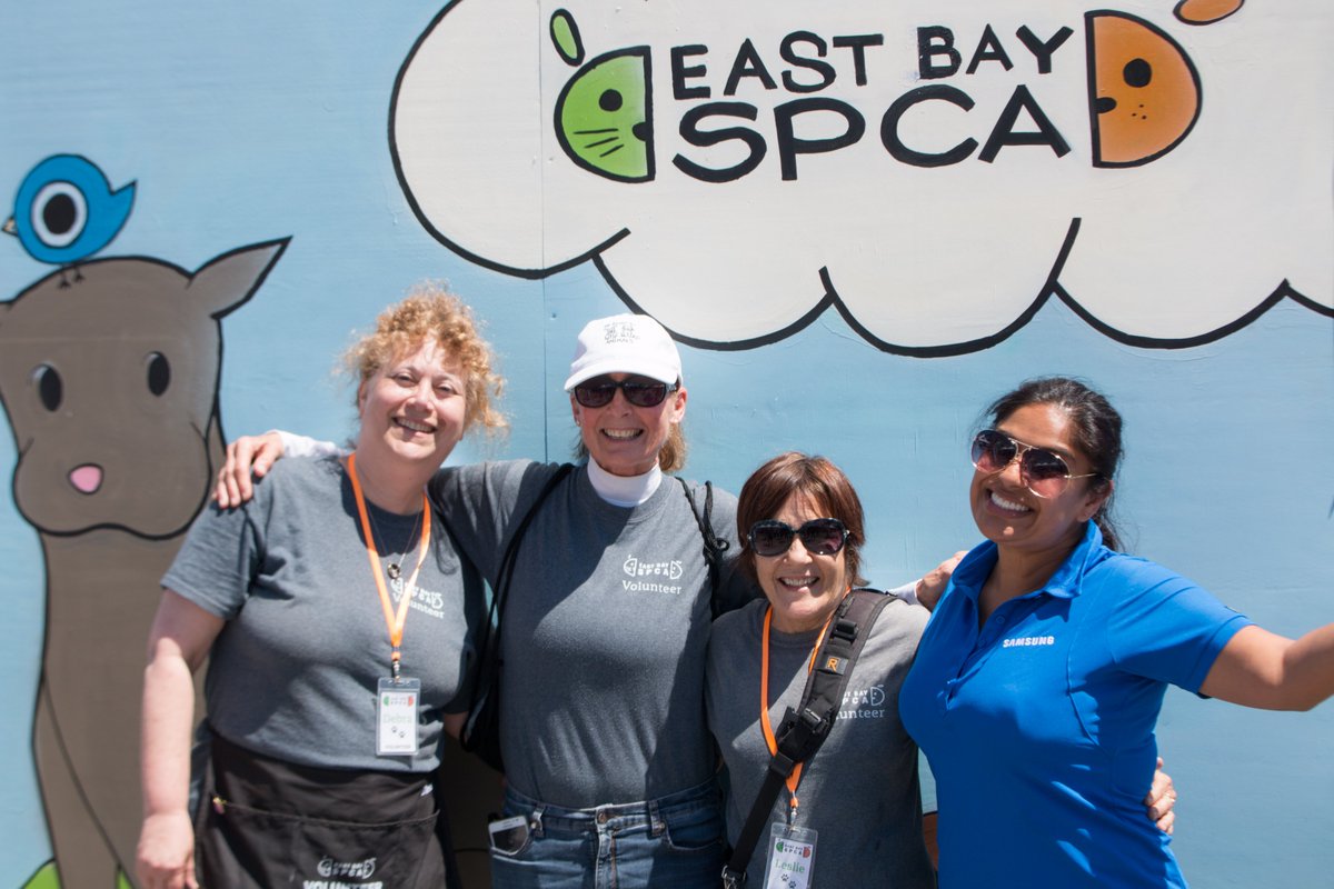 East Bay SPCA tweet media