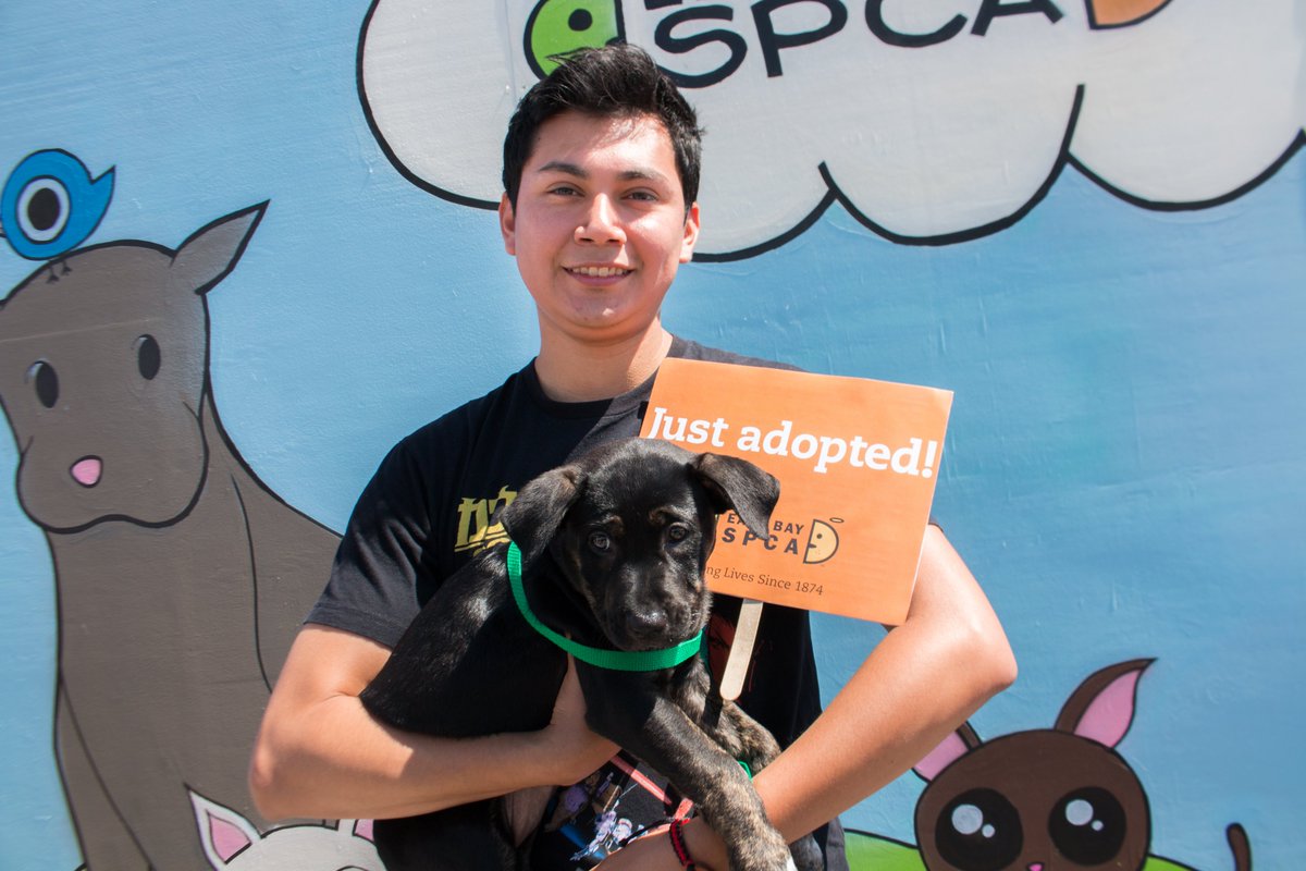 East Bay SPCA tweet media