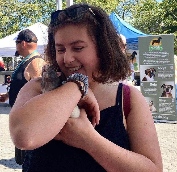 East Bay SPCA tweet media