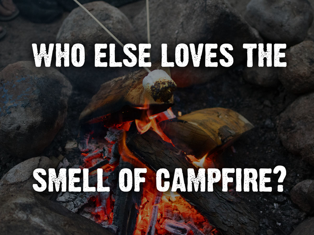 OldForgeCamping's tweet photo. 🔥 Nothing says #summer like the smell of a campfire! 🔥 #OldForgeCampingResort

Comment "🔥" below if you also love the smell of campfire! #MakeSummerLast #Campfire #SummerNights https://t.co/Qdd71wsucL