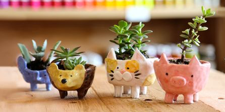 Children's Pottery Class at Parlour Cafe! Sat 31st Aug 12-2pm - ages 4-11-year-olds. Making a glazed animal planter using coil building, pinching and rolling techniques. Lunch included at Parlour Cafe. £25 per child - T. Saskia on 07850 693748 or email smtdavies@hotmail.com